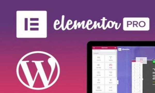 jual elementor pro 3.05